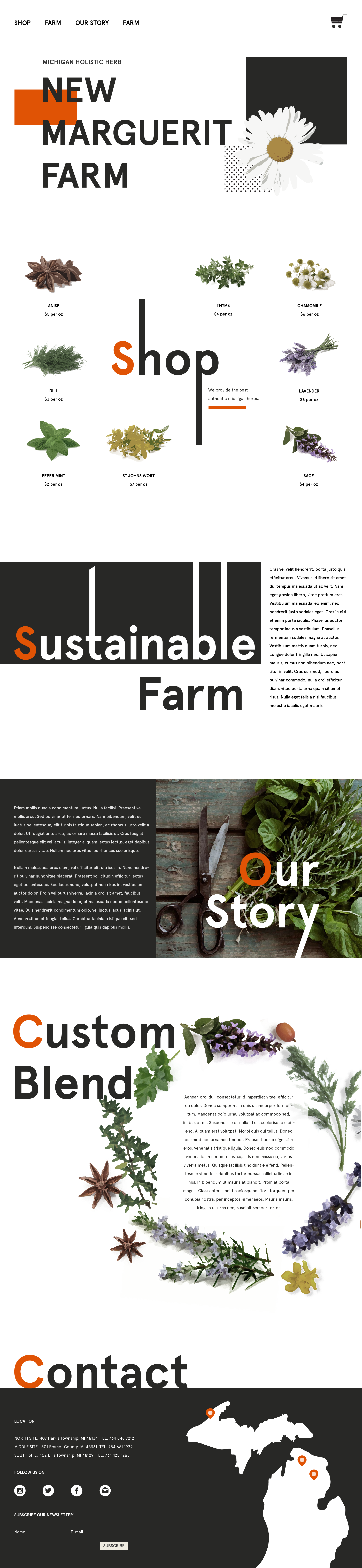 website mockup modernism